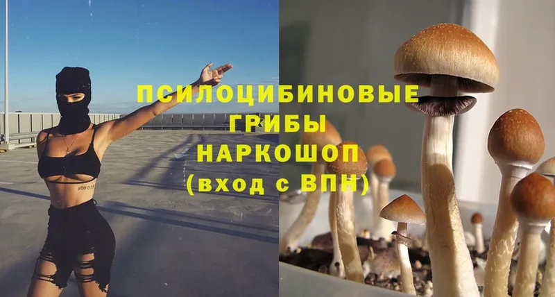 Галлюциногенные грибы MAGIC MUSHROOMS  Владимир 